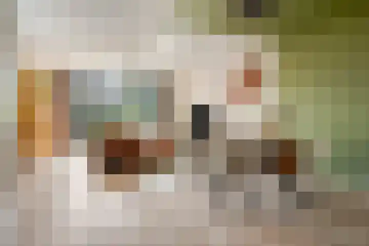 Muntmeester 149 Uden thumbnail 14