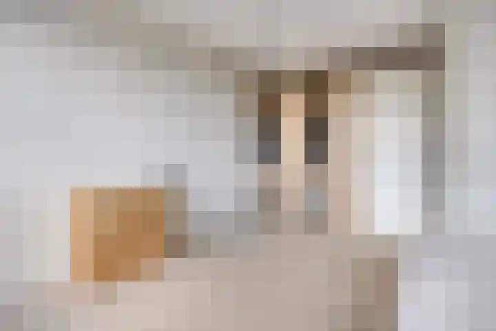 Muntmeester 149 Uden thumbnail 19