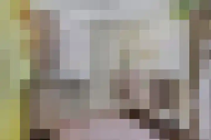 Muntmeester 149 Uden thumbnail 28