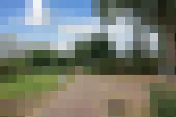 Muntmeester 149 Uden thumbnail 29