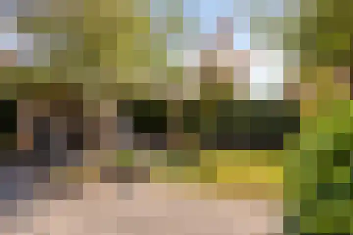 Muntmeester 149 Uden thumbnail 29
