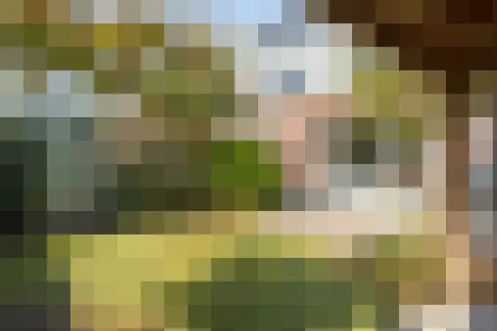Muntmeester 149 Uden thumbnail 31