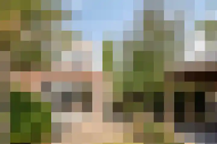 Muntmeester 149 Uden thumbnail 32