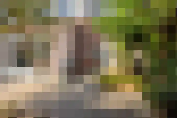 Muntmeester 149 Uden thumbnail 33