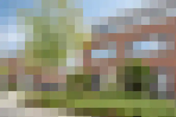 Muntmeester 149 Uden thumbnail 36