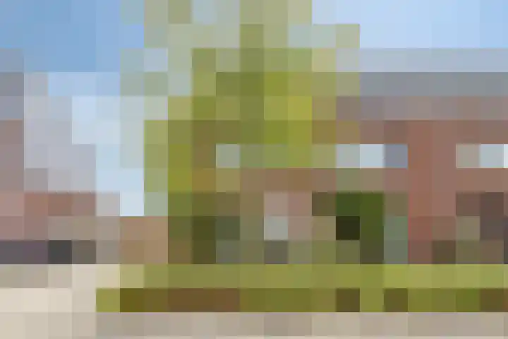 Muntmeester 149 Uden thumbnail 37