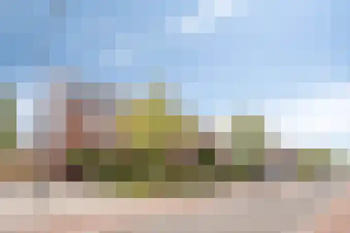 Muntmeester 149 Uden thumbnail 38