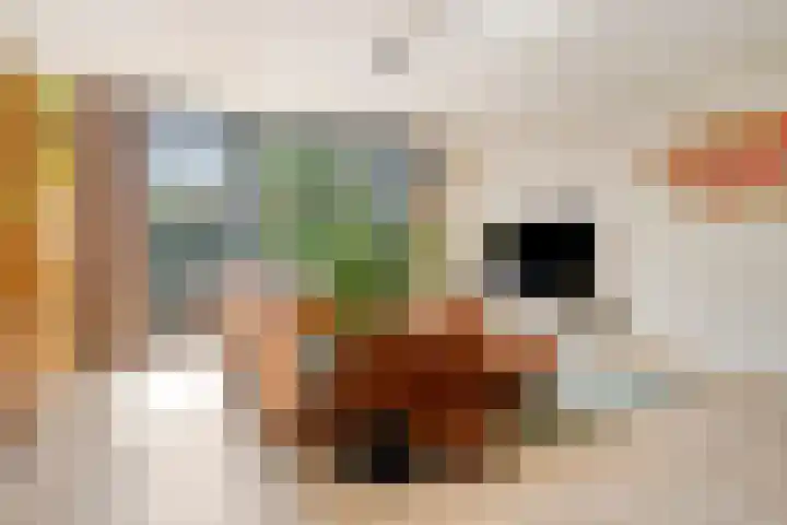 Muntmeester 149 Uden thumbnail 4