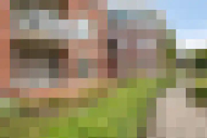 Muntmeester 149 Uden thumbnail 5