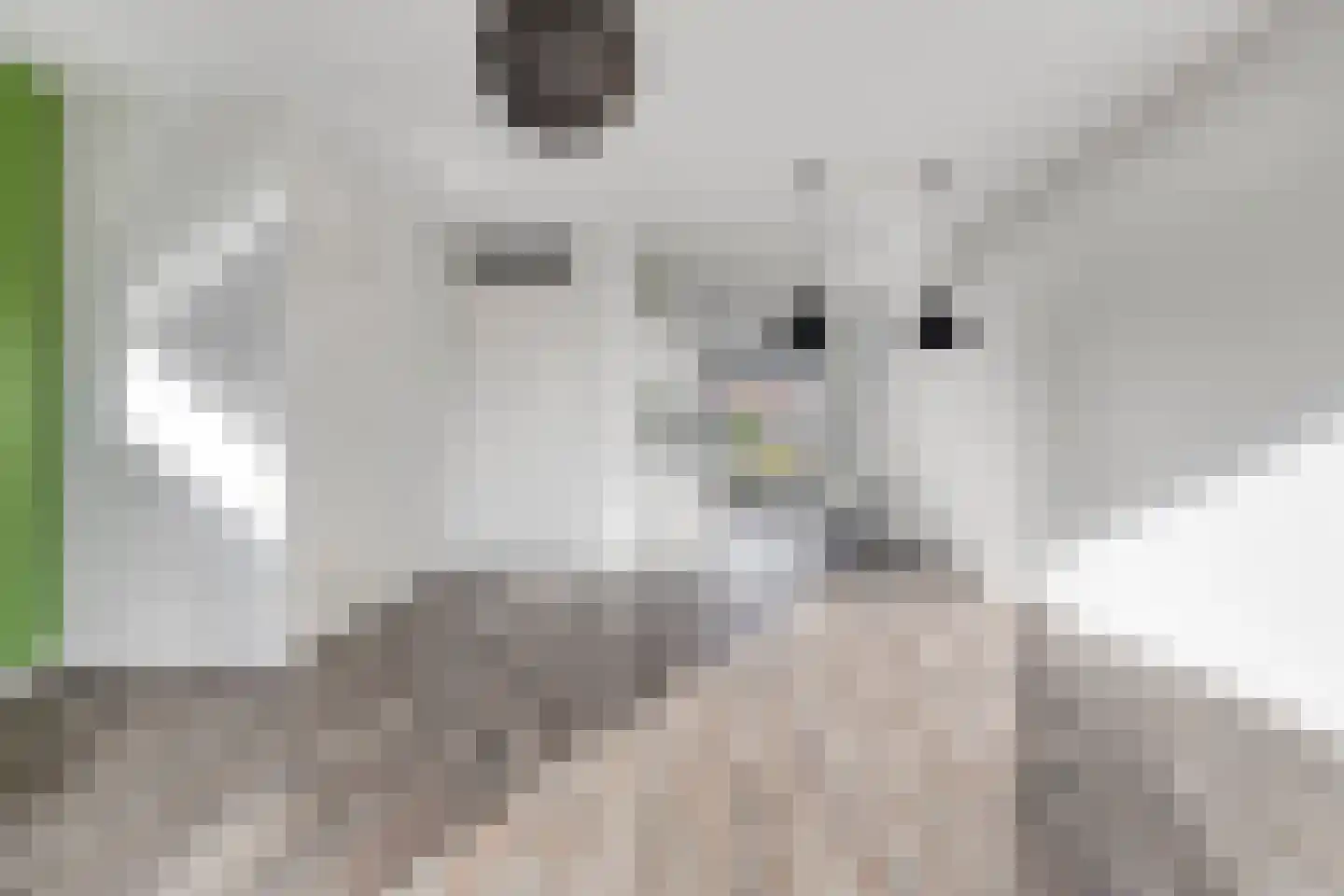 Muntmeester 151 Uden thumbnail 17