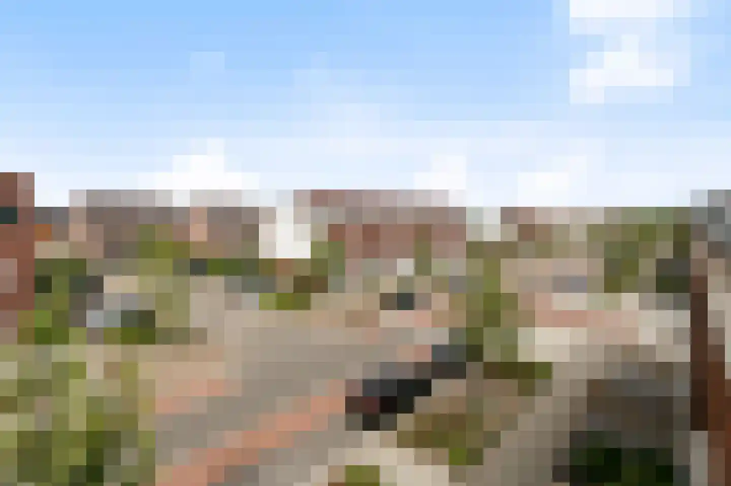 Muntmeester 151 Uden thumbnail 38