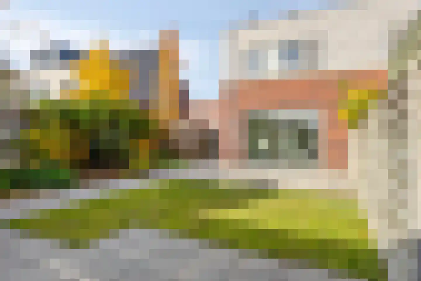 Muntmeester 151 Uden thumbnail 46