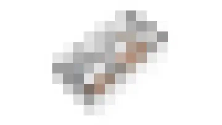 Muntmeester 169 Uden thumbnail 37