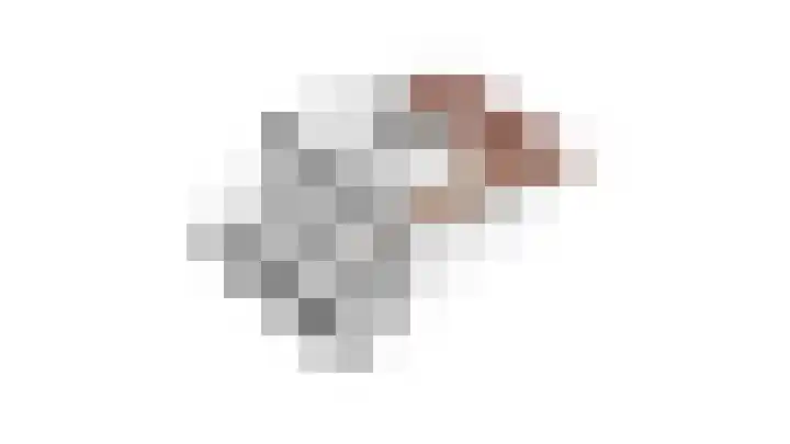 Muntmeester 169 Uden thumbnail 40