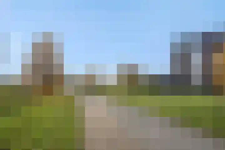 Muntmeester 205 Uden thumbnail 22