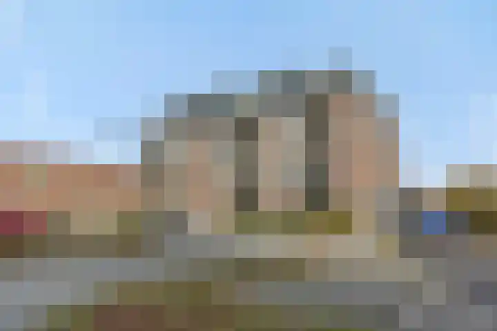 Muntmeester 205 Uden thumbnail 25