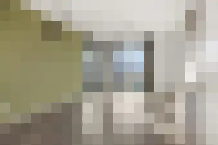 Muntmeester 205 Uden thumbnail 5