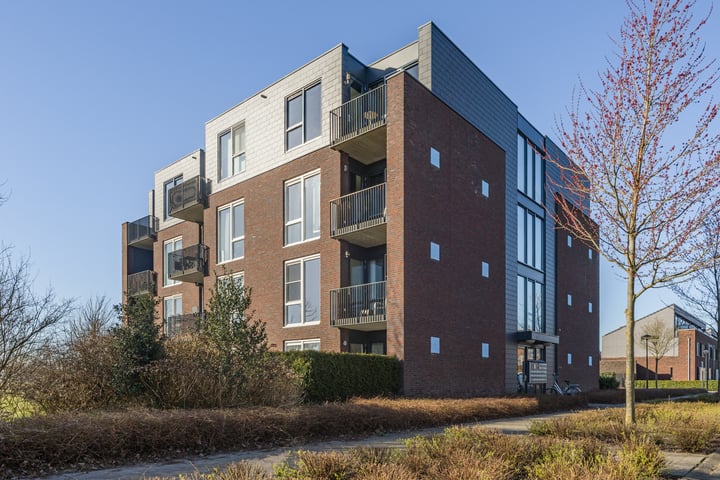 Muntmeester 225 in Uden foto