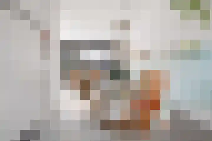 Muntmeester 308 Uden thumbnail 13