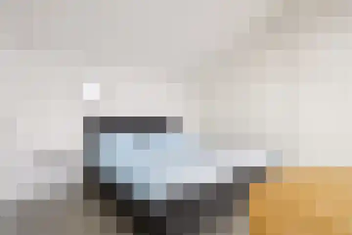Muntmeester 308 Uden thumbnail 31