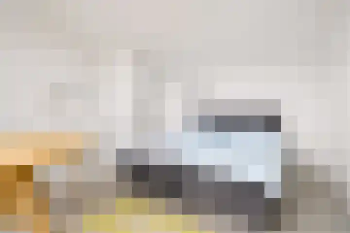 Muntmeester 308 Uden thumbnail 32
