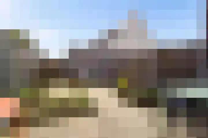 Muntmeester 308 Uden thumbnail 33