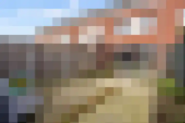 Muntmeester 308 Uden thumbnail 34