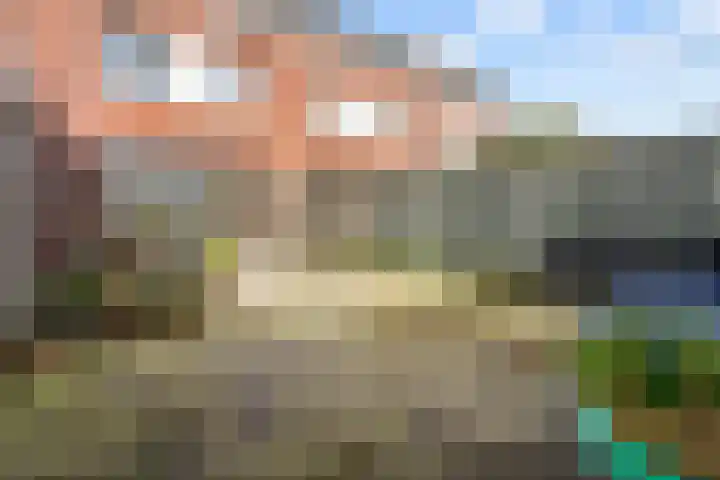 Muntmeester 308 Uden thumbnail 35