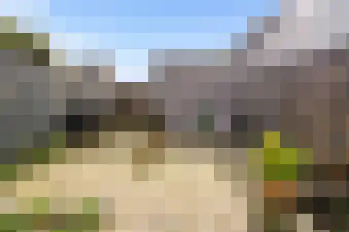 Muntmeester 308 Uden thumbnail 36
