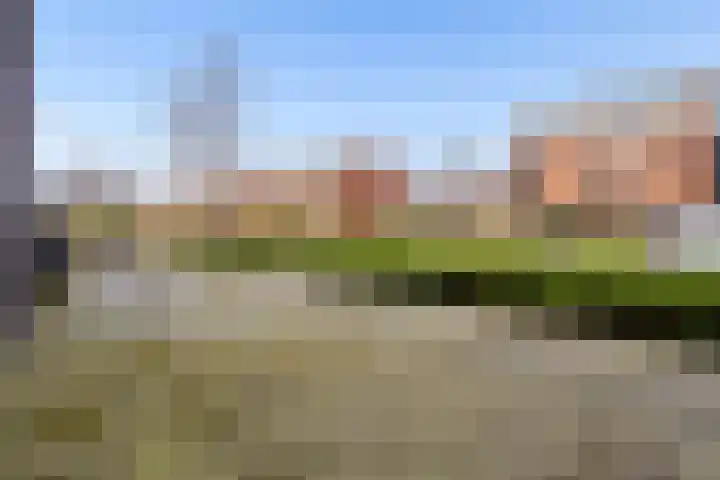 Muntmeester 308 Uden thumbnail 38