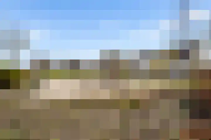 Muntmeester 308 Uden thumbnail 39