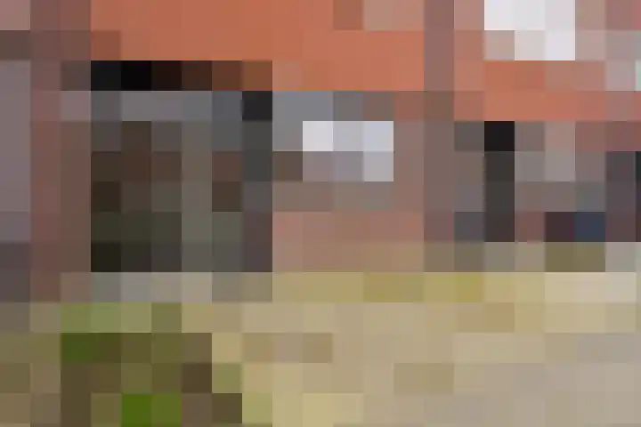 Muntmeester 308 Uden thumbnail 4