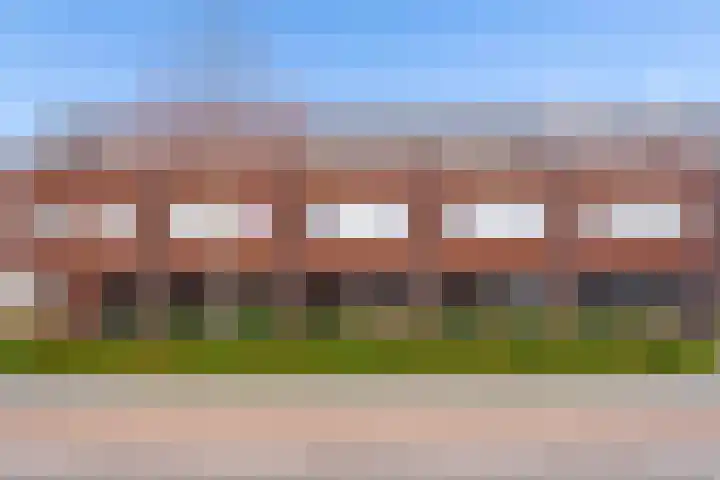 Muntmeester 308 Uden thumbnail 41