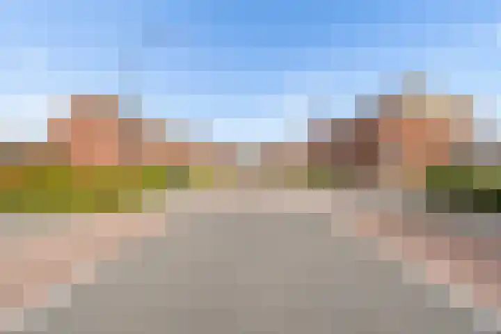 Muntmeester 308 Uden thumbnail 42