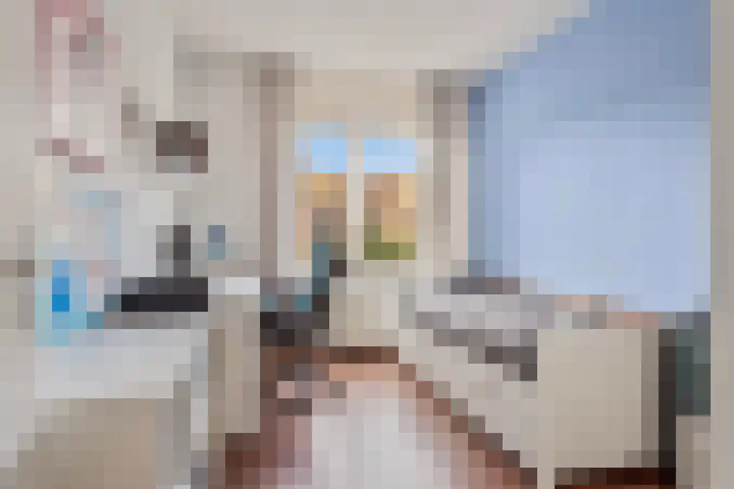 Muntmeester 462 Uden thumbnail 23