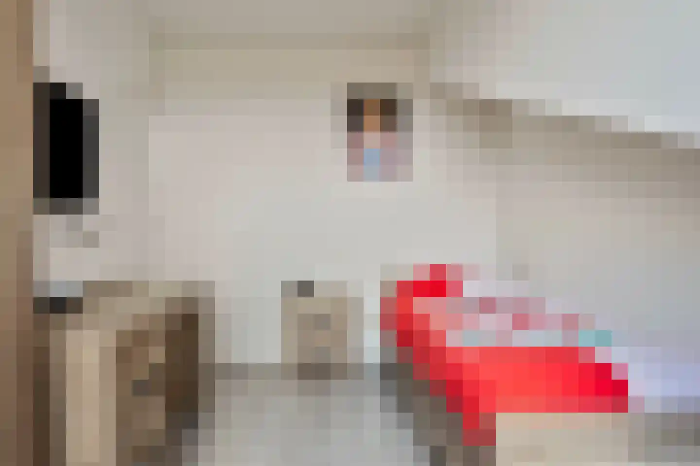 Muntmeester 462 Uden thumbnail 28