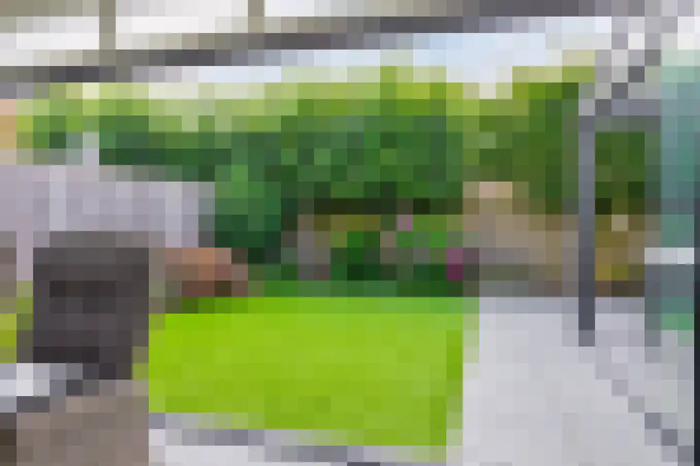 Muntmeester 462 Uden thumbnail 33