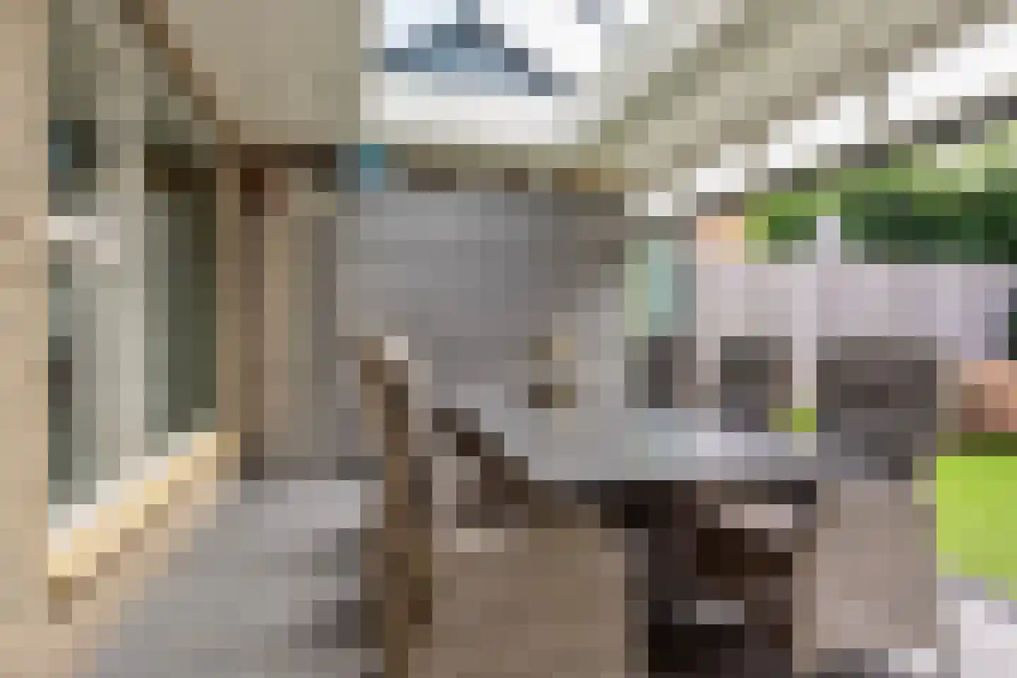 Muntmeester 462 Uden thumbnail 35