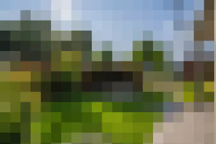 Muntmeesterhof 3 Weert thumbnail 49