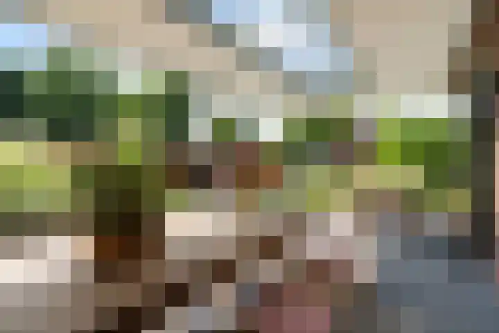 Muntmeesterhof 3 Weert thumbnail 5