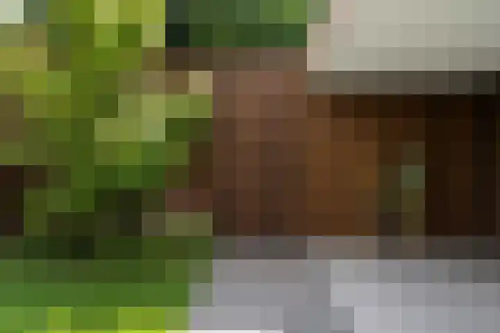Muntmeesterhof 3 Weert thumbnail 52