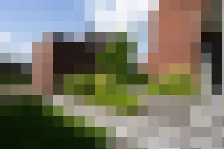 Muntmeesterhof 3 Weert thumbnail 55