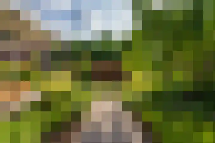 Muntmeesterhof 3 Weert thumbnail 56
