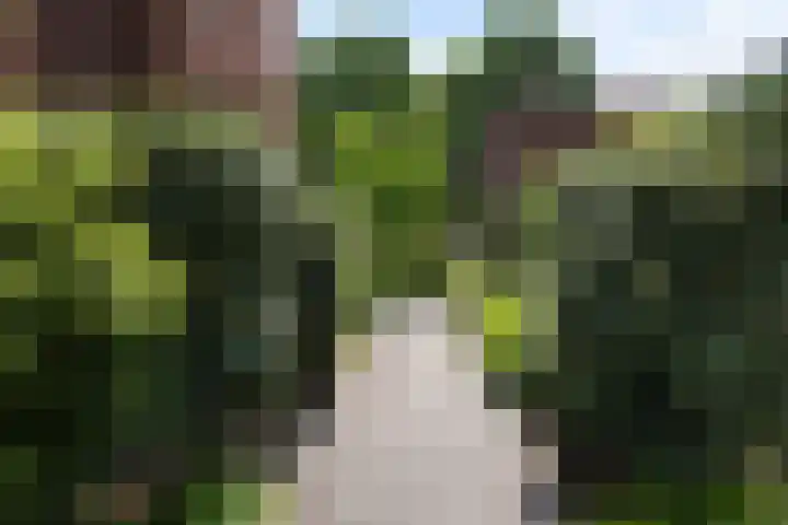 Muntmeesterhof 3 Weert thumbnail 59
