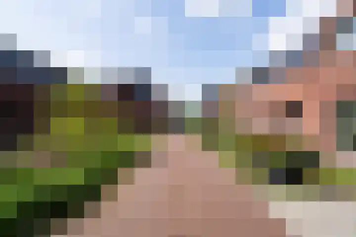 Muntmeesterhof 3 Weert thumbnail 6