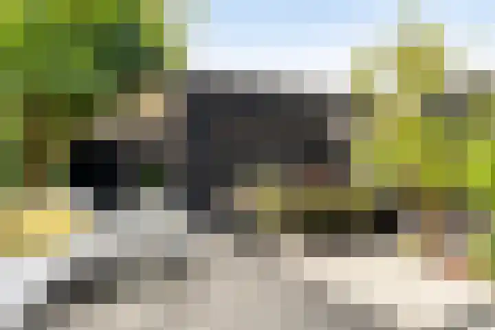 Muntmeesterhof 3 Weert thumbnail 60