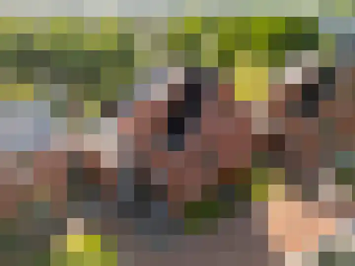 Muntmeesterhof 3 Weert thumbnail 60