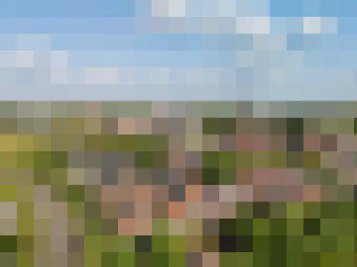 Muntmeesterhof 3 Weert thumbnail 63