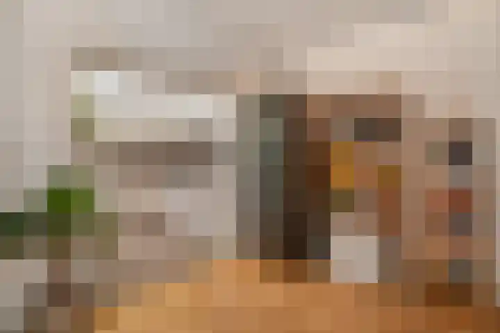 Muntmeesterstraat 22 Hedel thumbnail 15