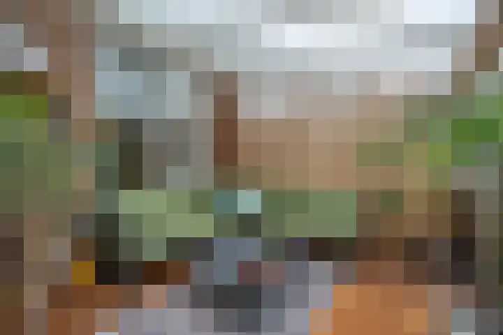 Muntmeesterstraat 22 Hedel thumbnail 18